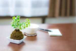 HR schemes for small business